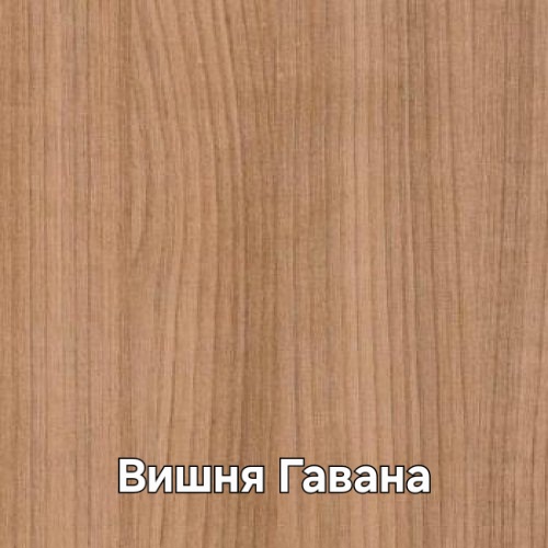20250408_164249