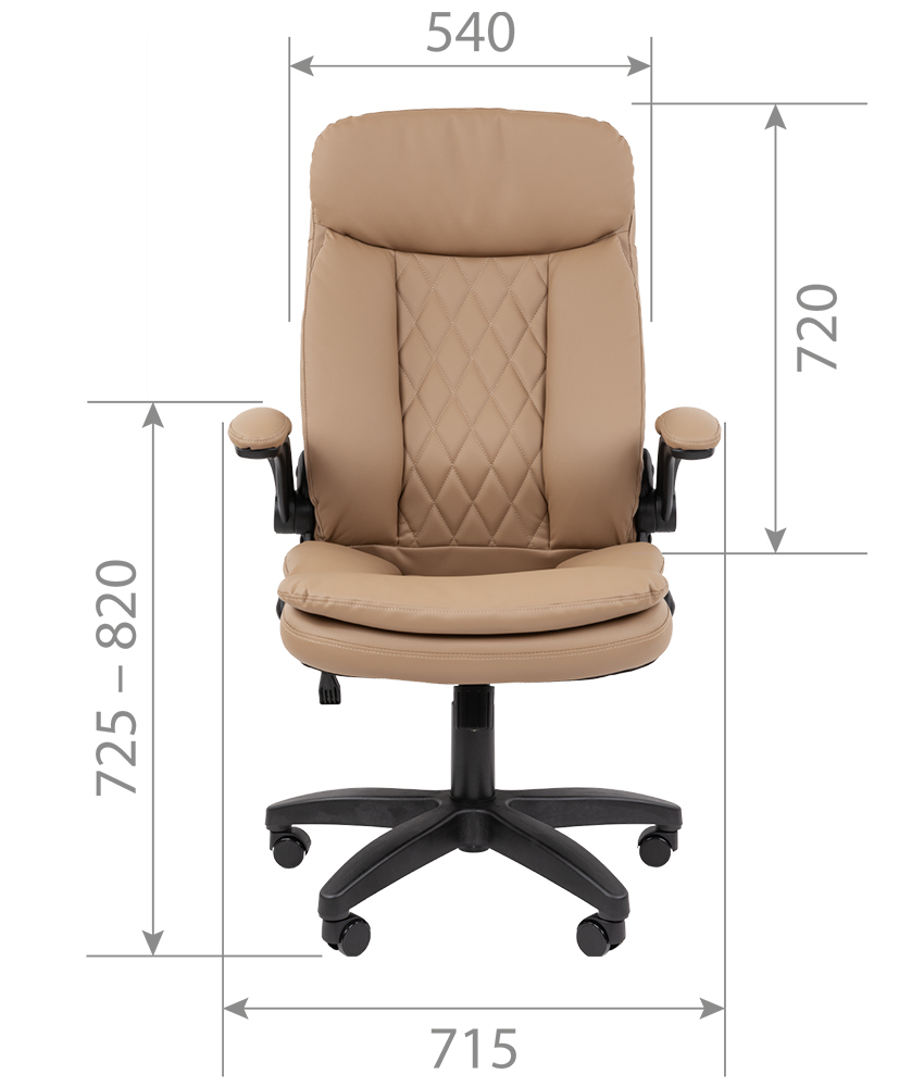 CHAIRMAN_533_s1