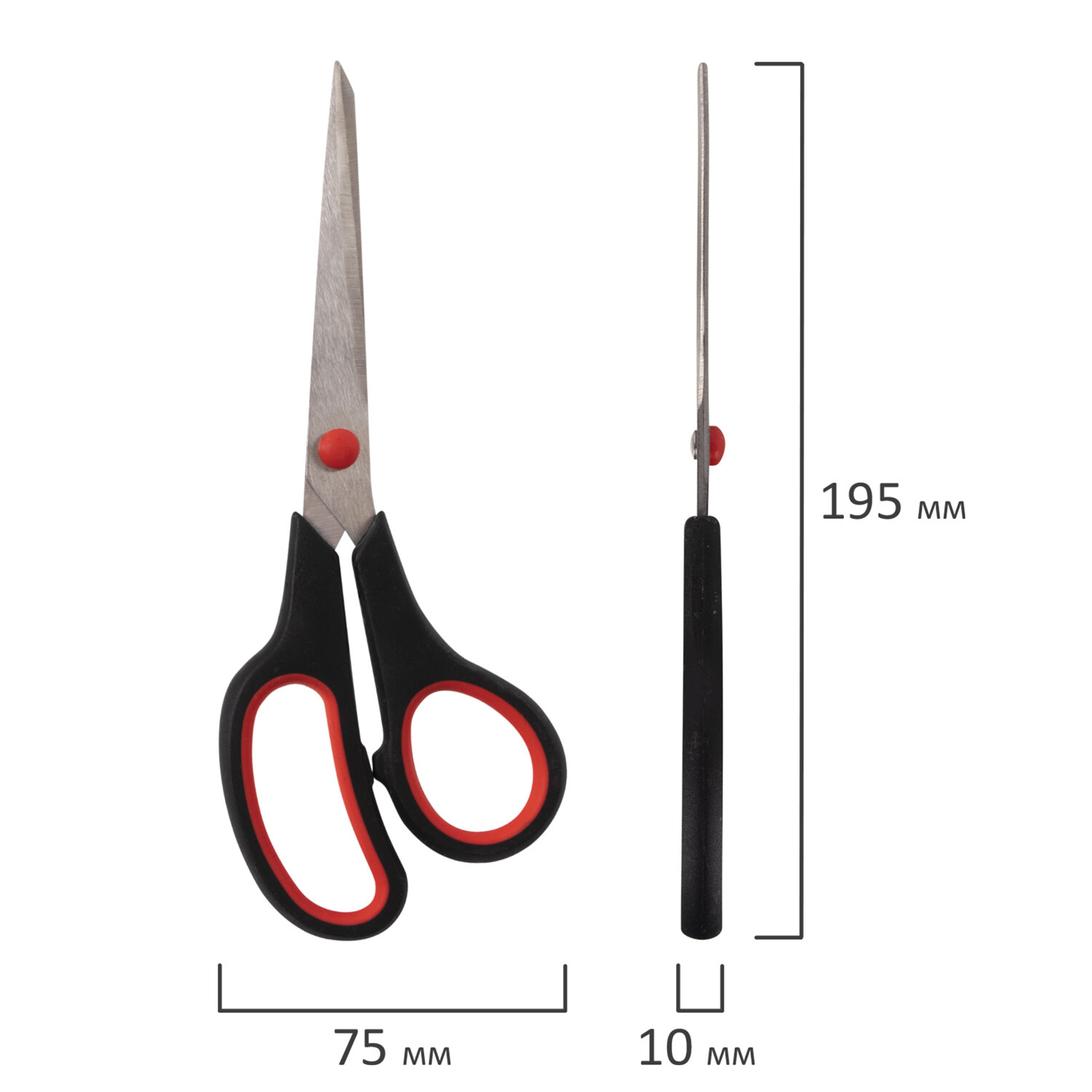 e81e4905b21ab88b042548a18dcc0029_xl